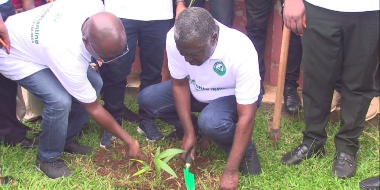 asantehene leads tree planting in kumasi as part of green ghana day initiative