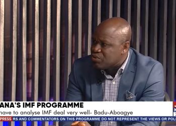 Economic crisis: Things will get better; but not this year – Badu-Aboagye