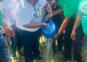 Every Ghanaian must support Green Ghana Day – Chief of Staff