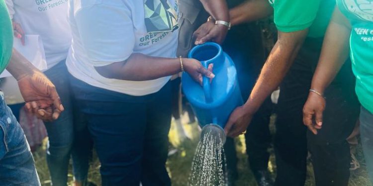 every ghanaian must support green ghana day chief of staff