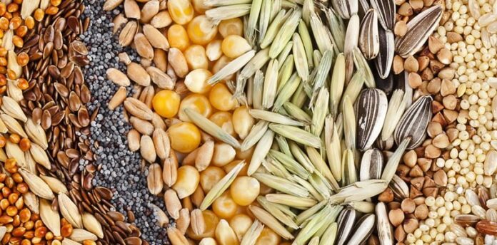 Government must work closely with seed traders in Ghana – NASTAG 1 government must work closely with seed traders in ghana nastag