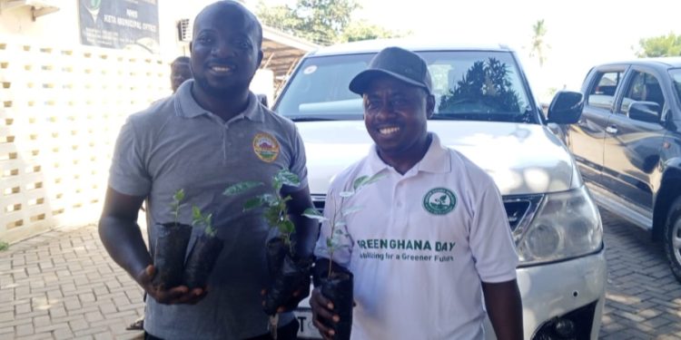 green ghana day keta municipal assembly plants trees mce urges residents to nurture them