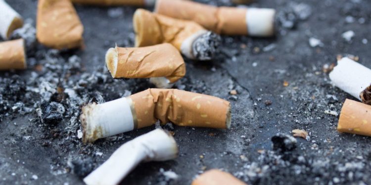 harm reduction alliance ghana urges government to adopt swedens approach towards a tobacco free society
