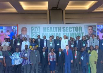 Health sector needs “strategic” funding – Kwaku Agyeman-Manu