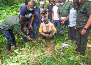 I wish Ghana could be like Germany – Prof Frimpong-Boateng on Green Ghana project