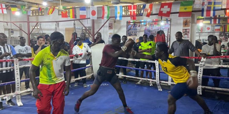 if you want olympic boxing medals in paris move the black bombers to camp now