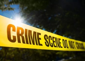 Man arrested after body parts found at home