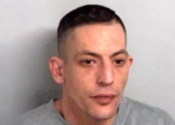 Man jailed 4 years for leaving fatally injured girlfriend in car