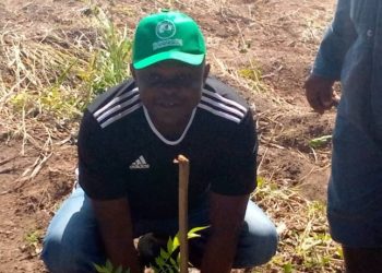 Pamu-Berekum Forest Reserve shows signs of regaining lost vegetation