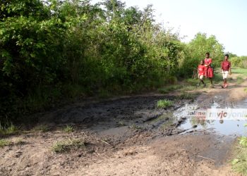 Pupils walking to school affecting access to education in Adaklu District