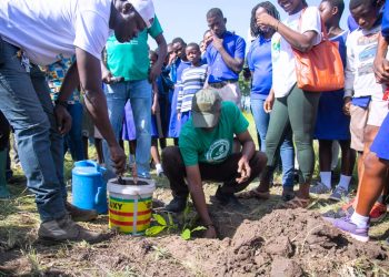SDGs Advisory Unit partners with Forestry Commission to plant 1000 seedlings