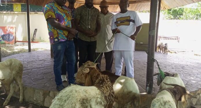 twma presents sheep to muslim community