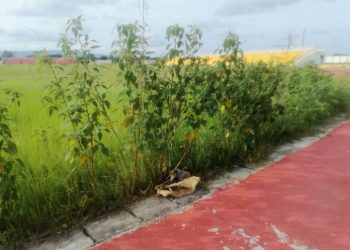 Volta Regional Youth Resource Centre football pitch overgrown with weeds