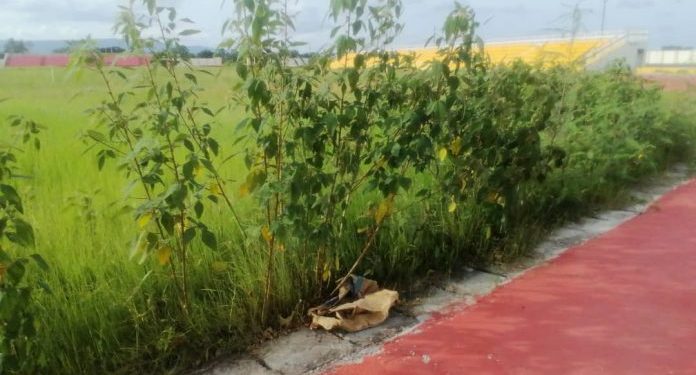 Volta Regional Youth Resource Centre football pitch overgrown with weeds 1 volta regional youth resource centre football pitch overgrown with weeds