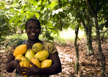 We’ll continue to push for good pricing for Ghana’s cocoa beans – Agric Minister
