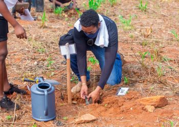 World Environment Day: MESTI collaborates with EPA, others to explore alternatives to single-se plastics