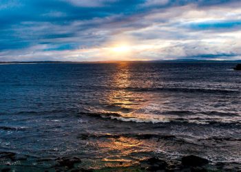 World Oceans Day: Government emphasizes the necessity of strengthening strategic alliances for improved ocean health