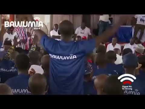 npp primaries education minister publicly endorses bawumia
