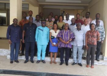 Volta Regional Minister Extols Impactful GIZ-GovID Programme