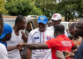 Development Authority CEO to contest Sene West NPP parliamentary primaries    