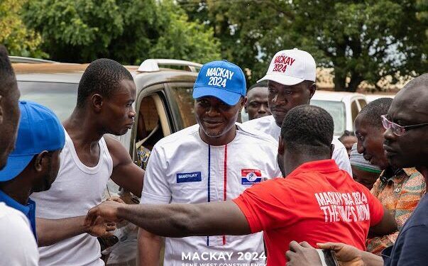 development authority ceo to contest sene west npp parliamentary primaries