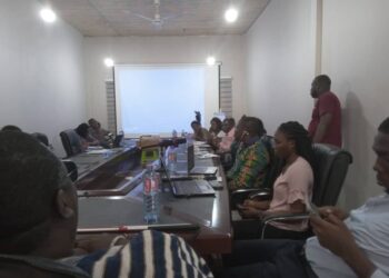 Gender Ministry urged to speed up ratification of African Disability Protocol 