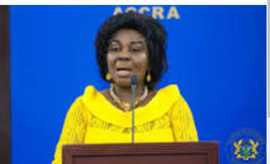 gra petitioned to conduct comprehensive tax audit on cecilia dapaah