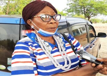 Let’s support Alonsi to boot out Agalga – Former NPP Chair
