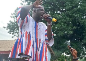 NPP Primaries: My focus is to create sustainable jobs – Organiser
