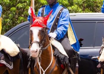 Police mourn passing of horse  