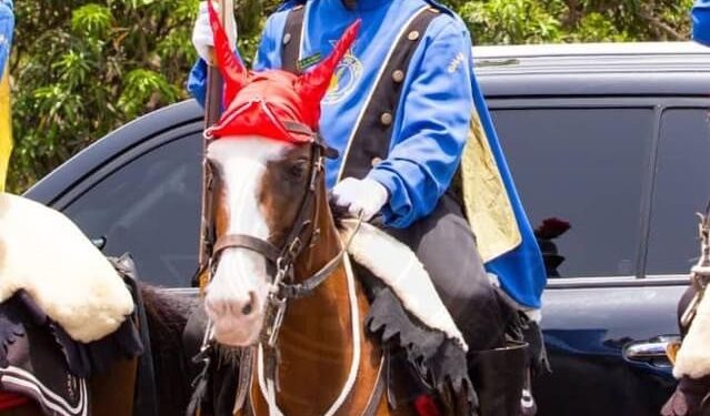 police mourn passing of horse