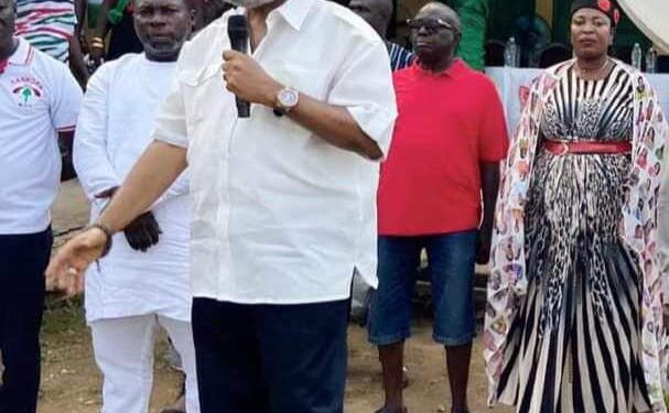 the choice of ndc running mate will be based on several factors sinare