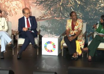Akufo-Addo and AGRA president call for more private sector action to meet SDGs on hunger