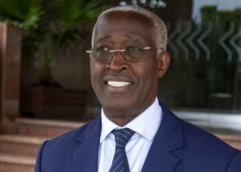 Gabon to decide on transitional period next year