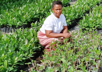 Ghanaian youth encouraged to get interested in farming