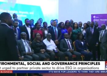 Government urged to partner private sector to drive ESG in organisations