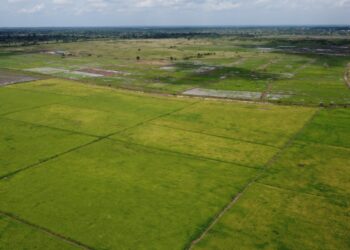 Mafi Tedeafenui residents accuse foreign investors of encroachment