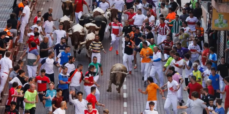 man gored to death by bull at spanish festival