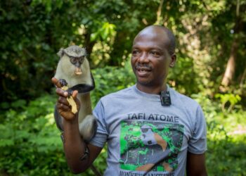 Once upon a coup by monkey Toma!