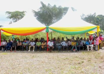 Over 350 farmers receive 53,000 tree crop seedlings in Sekyere Kumawu District