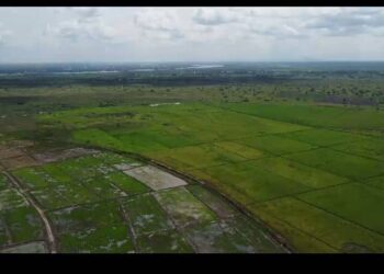 Reclamation of lands affected by sand winning begins in Ketu South