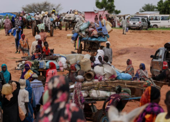 Sudan war: UN alarm over child deaths in camps