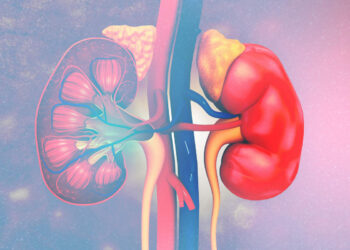 Aside from smoking and drinking, these factors could be damaging your kidneys