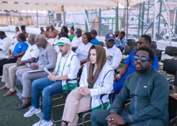 Avoid wood fuel to protect health and save environment – NPA