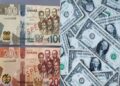 Cedi now going for ¢12.10 to a dollar; demand for American greenback surges ahead of Christmas