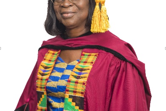 celebrating an empowering leader the legacy of emerita professor yaa ntiamoa baidu