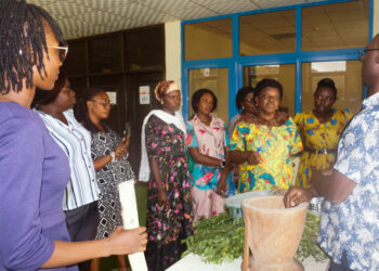 Climate Resilience: AICCRA builds capacity of Ghanaian women champions
