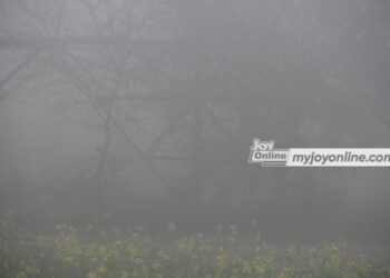 CSE investigative report reveals deep flaws in voluntary carbon credit market