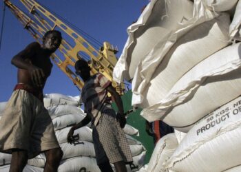 DP World in Tanzania: The UAE firm taking over Africa’s ports