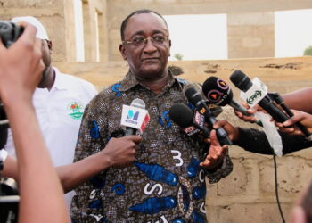 Dr. Afriyie Akoto suspends campaign to mourn Theresa Kufuor